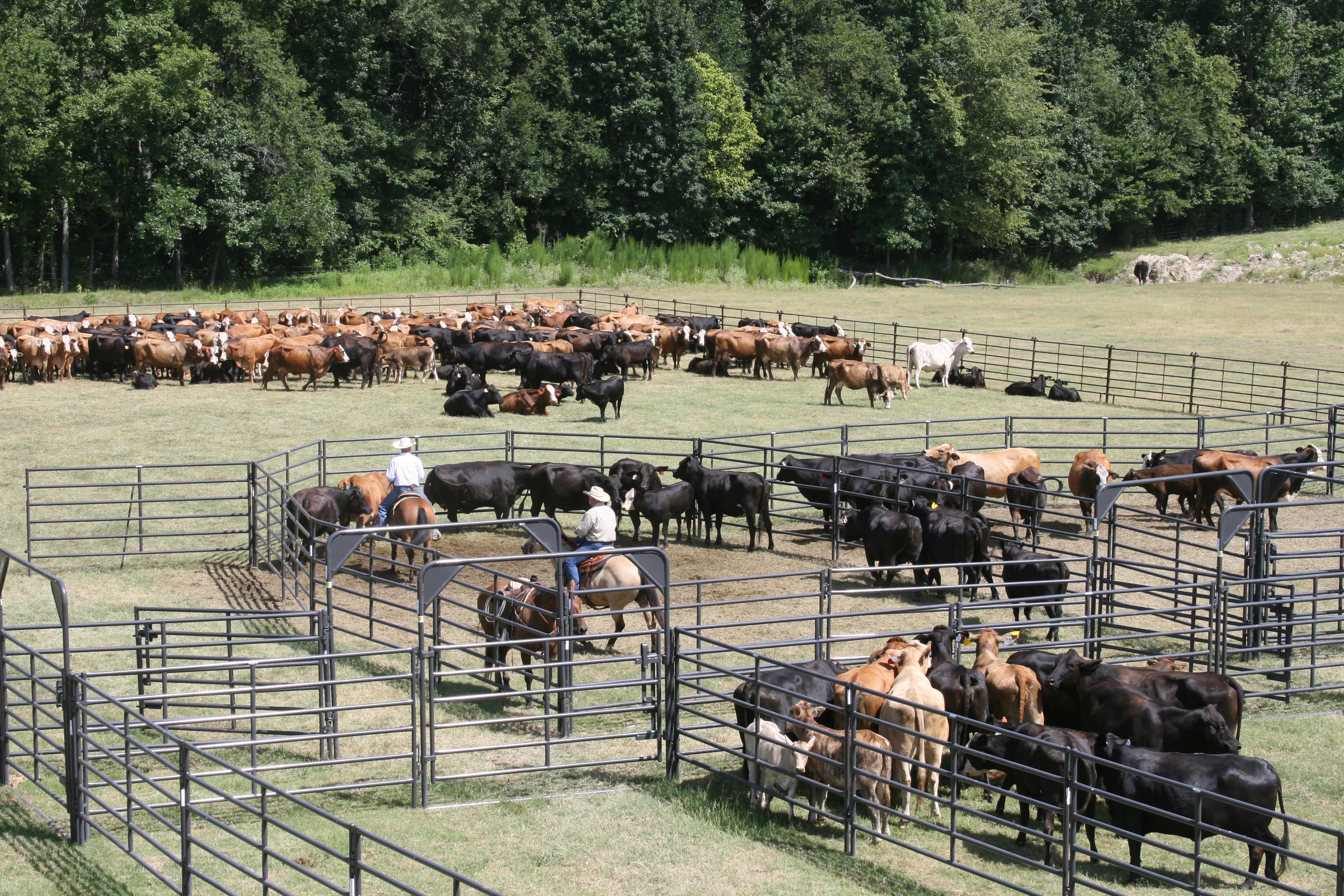 Rough Stock Corral RSOS 5 01.jpg
